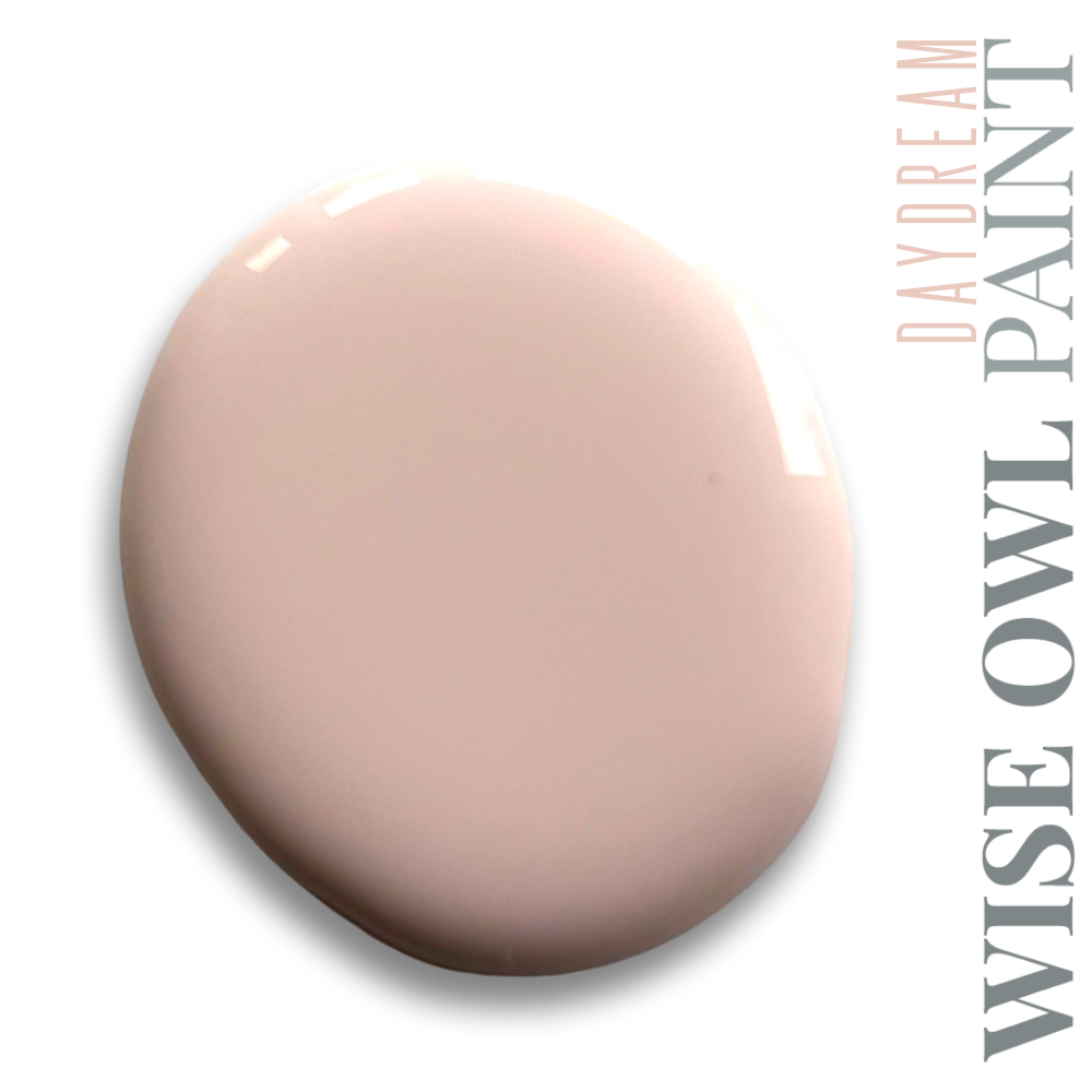 Wise Owl One Hour Enamel Paint