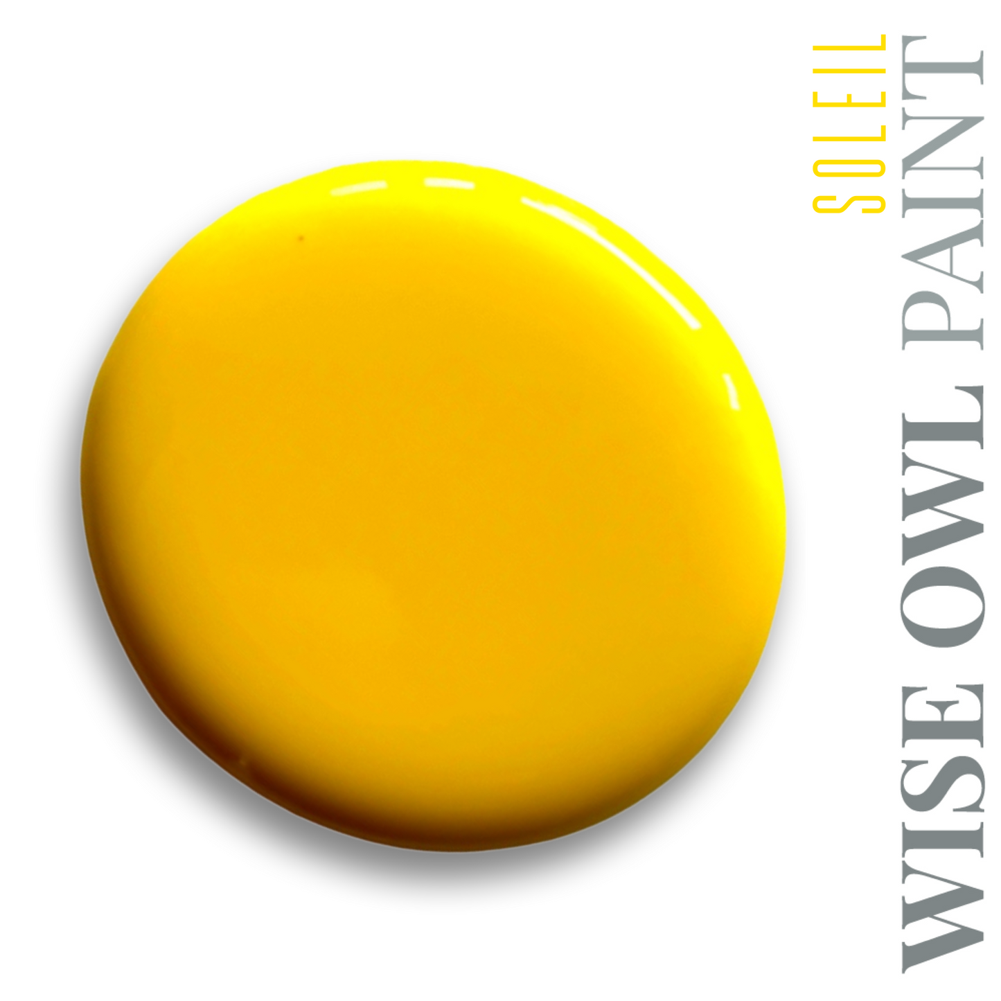 Wise Owl One Hour Enamel Paint
