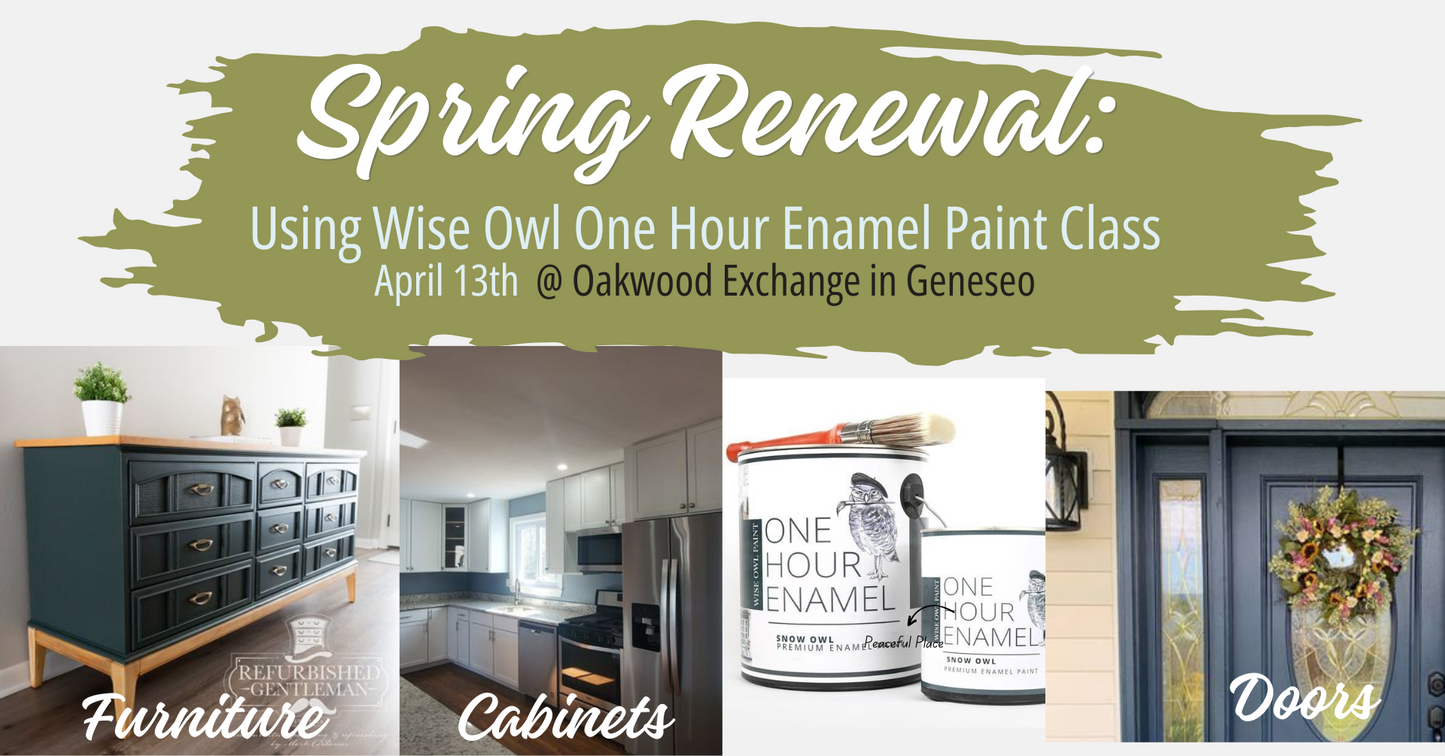 Spring Renewal Painting Class with Wise Owl Paint 4/13/25