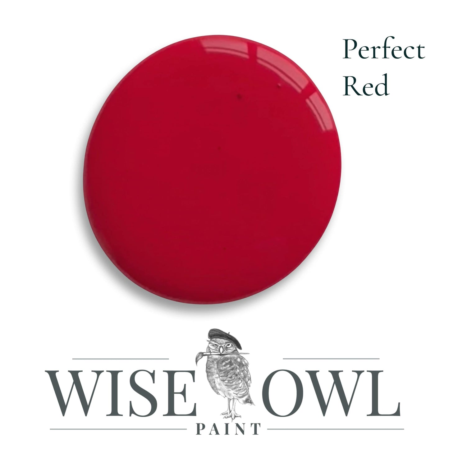 Wise Owl One Hour Enamel Paint