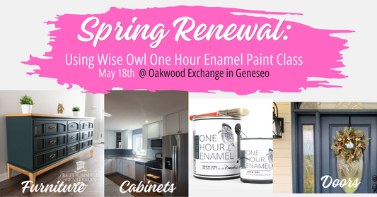 Spring Renewal Painting Class with Wise Owl Paint 5/18/25