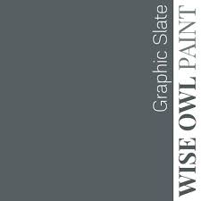 Wise Owl One Hour Enamel Paint