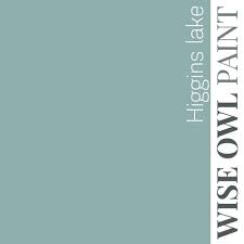 Wise Owl One Hour Enamel Paint