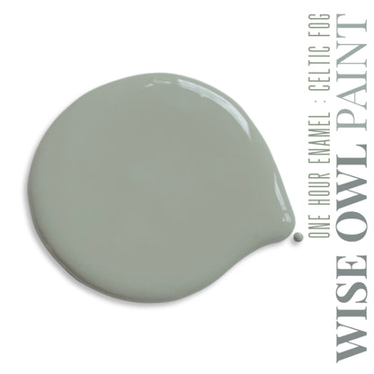 Wise Owl One Hour Enamel Paint