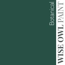 Wise Owl One Hour Enamel Paint