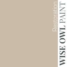 Wise Owl One Hour Enamel Paint